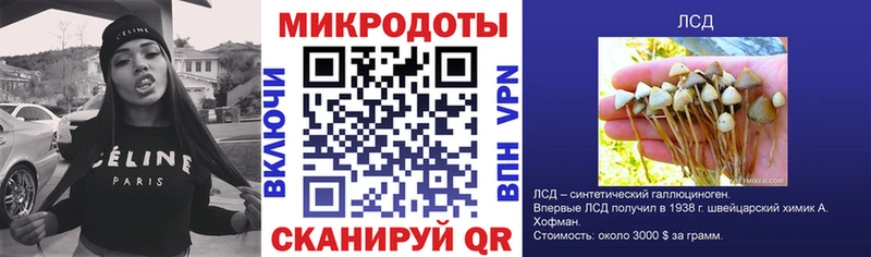 Псилоцибиновые грибы GOLDEN TEACHER  закладка  Белая Холуница 